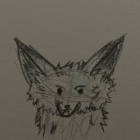 cluster (@cluster_xo) 's Twitter Profile