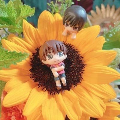はちすꪔ̤̮さんのプロフィール画像