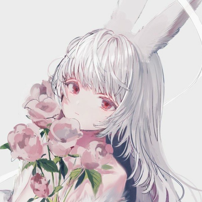 MercandoR42326's profile picture. 無知の知でした。