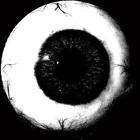 DemonNeet's profile picture. Not a psychopath.

I love junji Ito's work.
I also hate horror(not being sarcastic)
and yes this is indeed prunsel on my pfp
(oh wait u don't know him?)