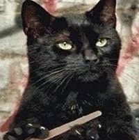 JhonatahFerrari's profile picture. Perfil pra maiores de 18 anos🔞 conteúdo adulto