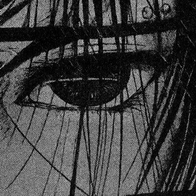 LichtZX0's profile picture. likes trading