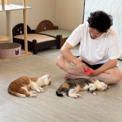 umewasabikk's profile picture. 