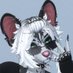 Camellia (@camellia_possum) Twitter profile photo Camellia (@camellia_possum) Twitter profile photo