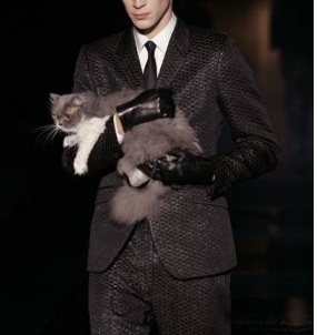 Kanjonen's profile picture. Ett charmerande svin som gillar gräs och blattebrudar.