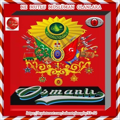 abanTufanolu2's profile image