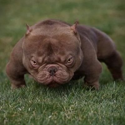 Ca1uXD's profile picture. 