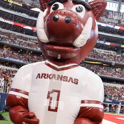 Hog fan, WPS!!, tired of politician shenanigans and people in general. GO HOGS! #LEARNS is a scam