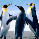 Alyssa Mikell - @mikell97991 - Twitter