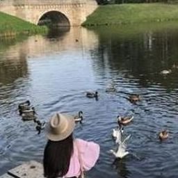 Gleasirg193930's profile picture. 台湾出身の普通の女の子｜日本の文化、旅行、美味しい食べ物が好きです