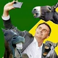 Bolsominions Ruminantes (@ruminantes22) 's Twitter Profile