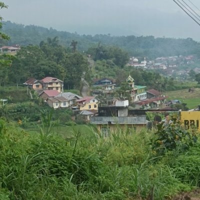 Irwanto51427495's profile picture. Yes