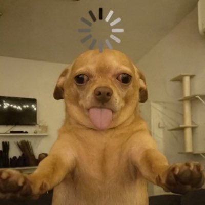 noleolloros55's profile picture. 