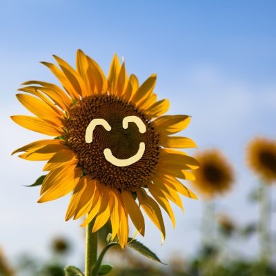 SE経験を活かした高クオリティな品質試験✨丁寧&細やか対応が得意なコーダー&開発ディレクターです!|案件のご相談などお気軽にDMください✉✨|#codolife 8期|#HIROKO 技術メンター|👧8歳👦5歳