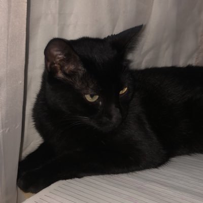 cuscuzcomleite_'s profile picture. 