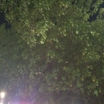متابع بصمت
حلمي يمن آمن ومزدهر
وان يستعيد مكانته التاريخيه الرياديه