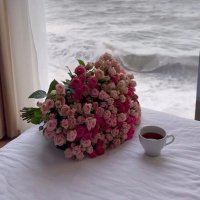 ✨ (@i_fatimah_) Twitter profile photo