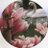 _libt's profile image