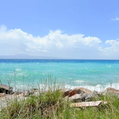 z77687768's profile picture. null