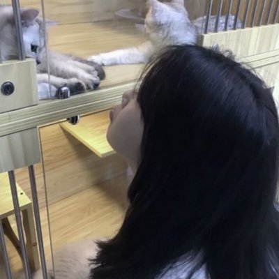 2r96o9g7ZrEjiAb's profile picture. ツイッターで面白い異性の友達を作りたいです~🫶