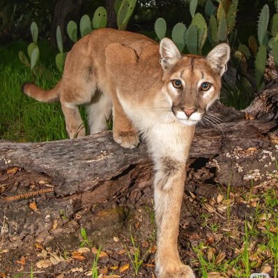 hua_ze97783's profile picture. 