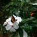 Alamgir Hossain (@alamgir_ho83179) Twitter profile photo Alamgir Hossain (@alamgir_ho83179) Twitter profile photo