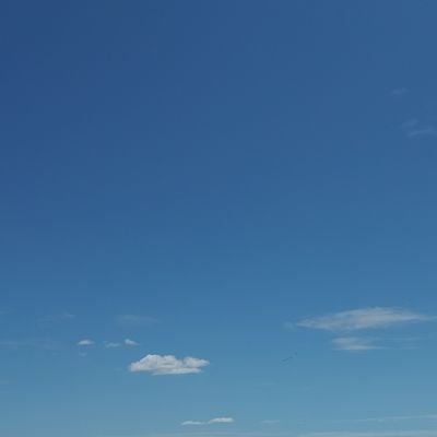 eraserewindd's profile picture. 