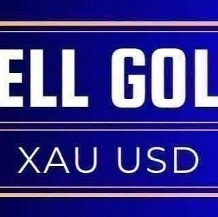 Get The Latest Forex News, Analysis, And Trading Signals!
- Expert Market Analysis
- Trading signals and recommendations
- Certified Forex experts
- 10+ years