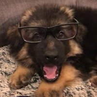 Max (@_fadedmax) 's Twitter Profile