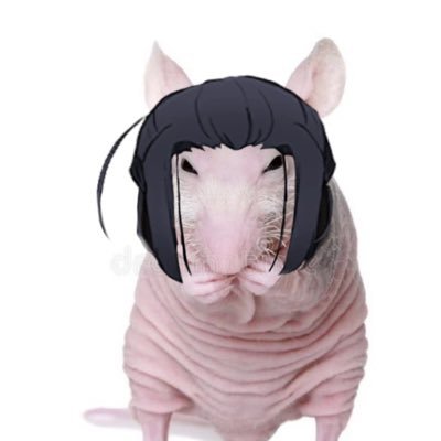 ✧*。he/him/they | #bsdtwt #yumetwt | 🪞Mirror Sharing Fem!Mori Yume 🩺🥼