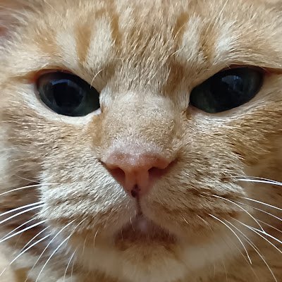 N72WljBaNl14227's profile picture. 