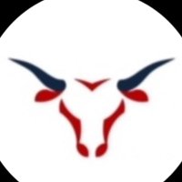 RBI Bulls 16U Gold (@rbibull16ugold) 's Twitter Profile
