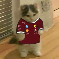 ๐ณ'รฉ๐๐๐๐๐ (@leclairdemonaco) 's Twitter Profile