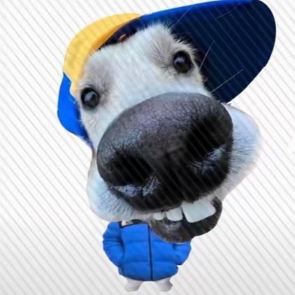 shmnmlhu1252641's profile picture. 