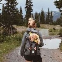 Agatha (@eeklarlear5920) 's Twitter Profile