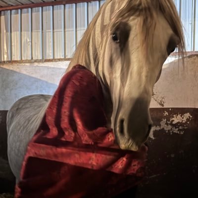 tte3__ Profile Picture