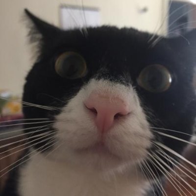 NickyHelIo's profile picture. 