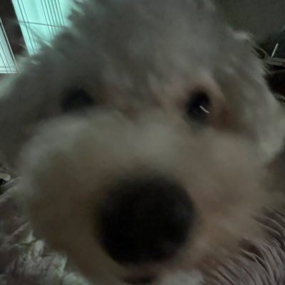 noye835's profile picture. 성인.  비계 @noye__853