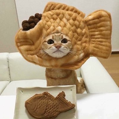 cdelfnhc's profile picture. 