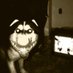 beta (@betasnap_) Twitter profile photo beta (@betasnap_) Twitter profile photo