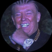 SpaceG ๐ฟ๐ฎ๐บ๐ธ๐ฆ (@spaceg420) 's Twitter Profile