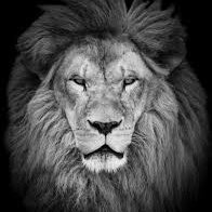 Sparrow193316's profile picture. Health Care Activist fighting to improve the safety and quality of care on American Healthcare and in American Long Term Care Joshua 10:25 Joshua 23:10
