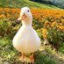 sally (@caeroussall) Twitter profile photo sally (@caeroussall) Twitter profile photo