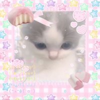 Bas πππ (@basil_luvs_u) 's Twitter Profile