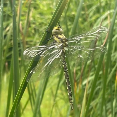 lemarchandbrun2's profile picture. No comment ⁉️