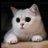 BamBam_bamesis's profile image