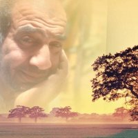 Mohamed Reff (@mohamedreff61) 's Twitter Profile