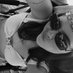;𝖆𝖑𝖊𝖊 (@_alescobedo_) Twitter profile photo ;𝖆𝖑𝖊𝖊 (@_alescobedo_) Twitter profile photo
