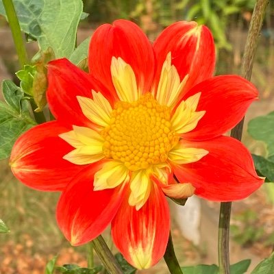 Hopspur24's profile picture. Was hacked guys so this is try again