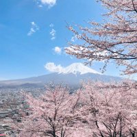 Eito (@hanh_huynh) 's Twitter Profile